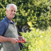 Simply Helping Hedging